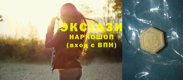 индика Алексин