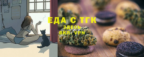 сатива Новодвинск