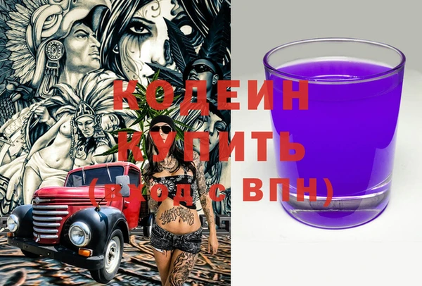 сатива Новозыбков