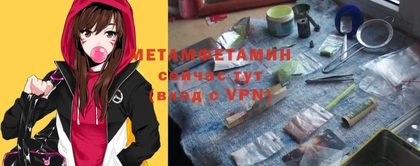 индика Алексин
