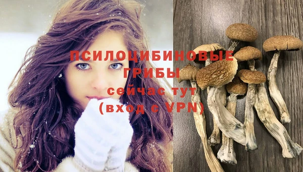 гашиш Алзамай
